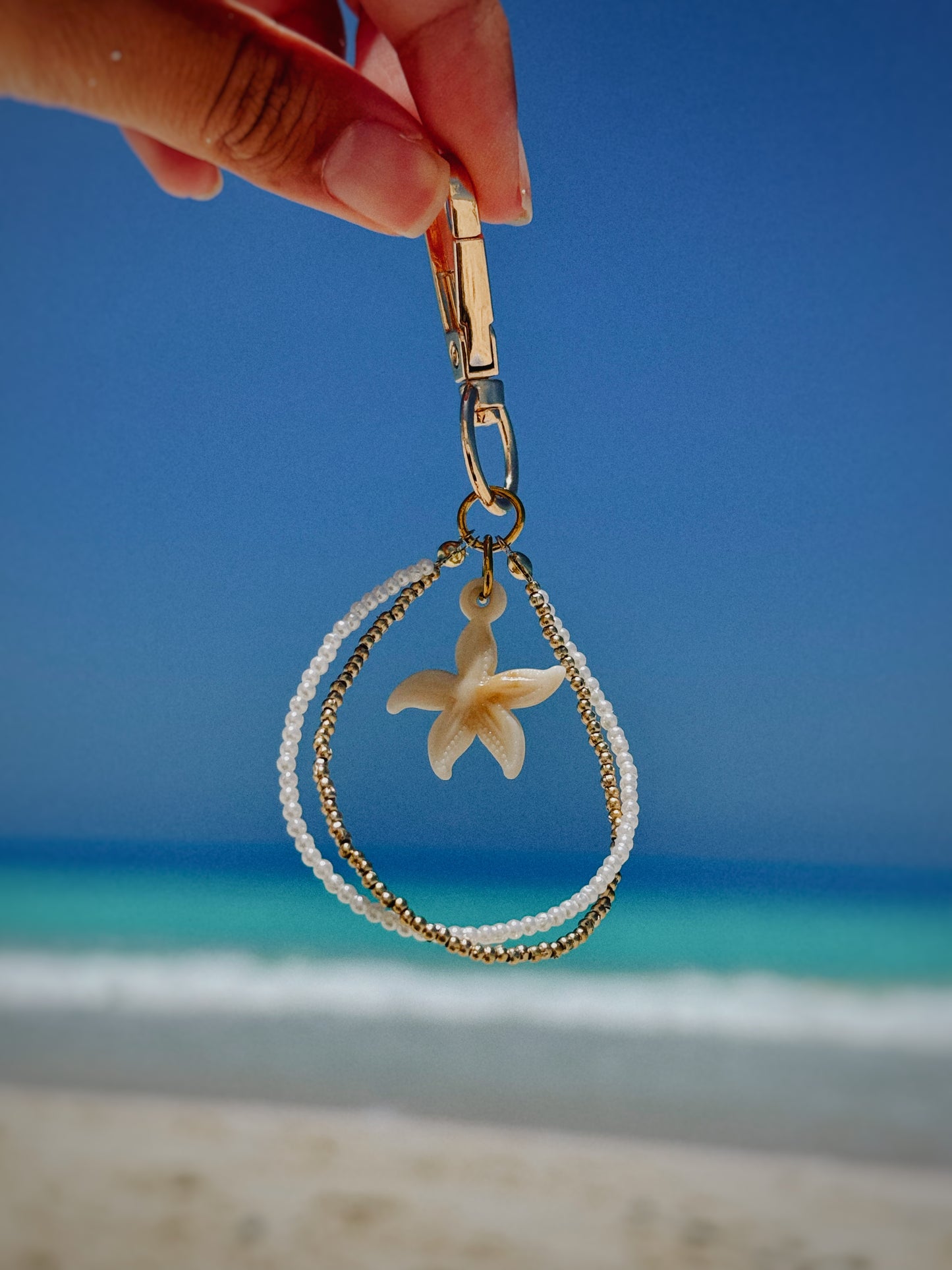 Starfish salty loop