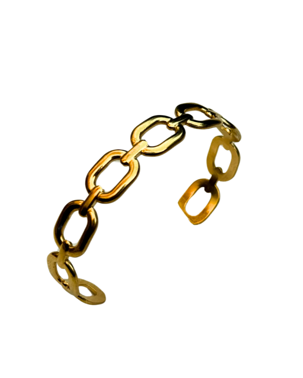 Chained Stainless Steel Bangle