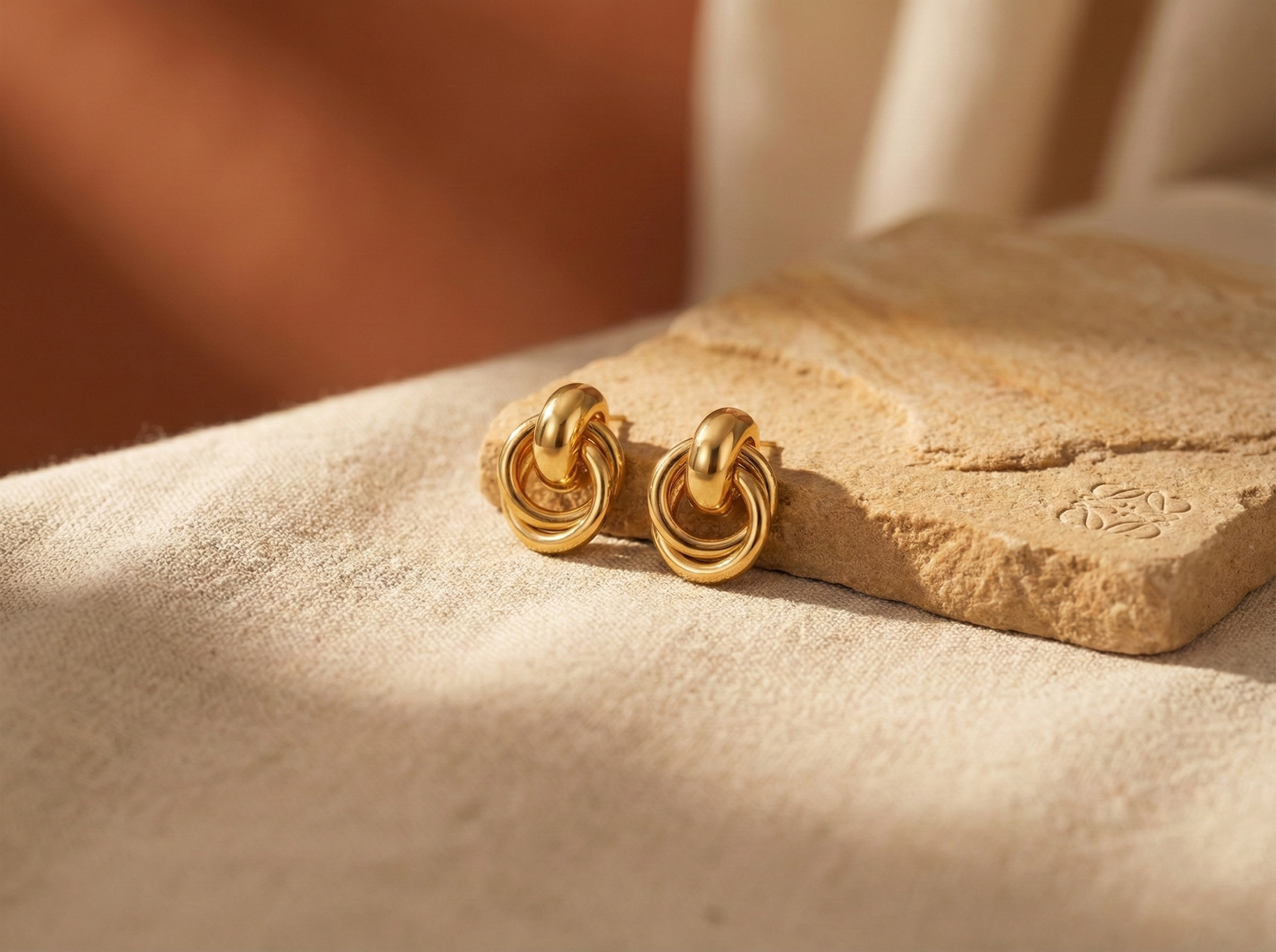 Dual Looped Earrings