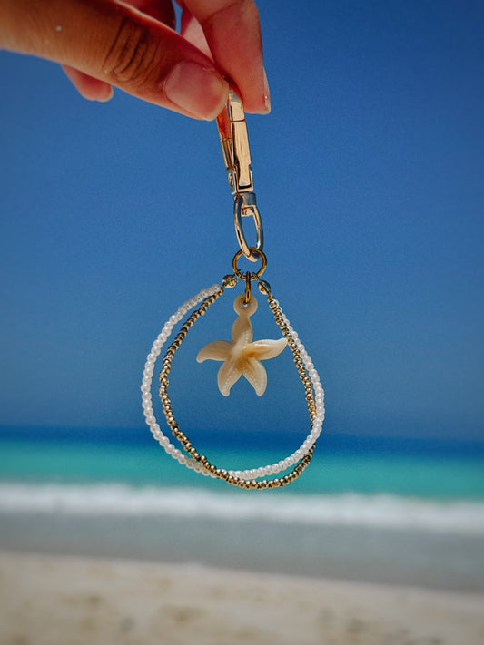 Starfish salty loop